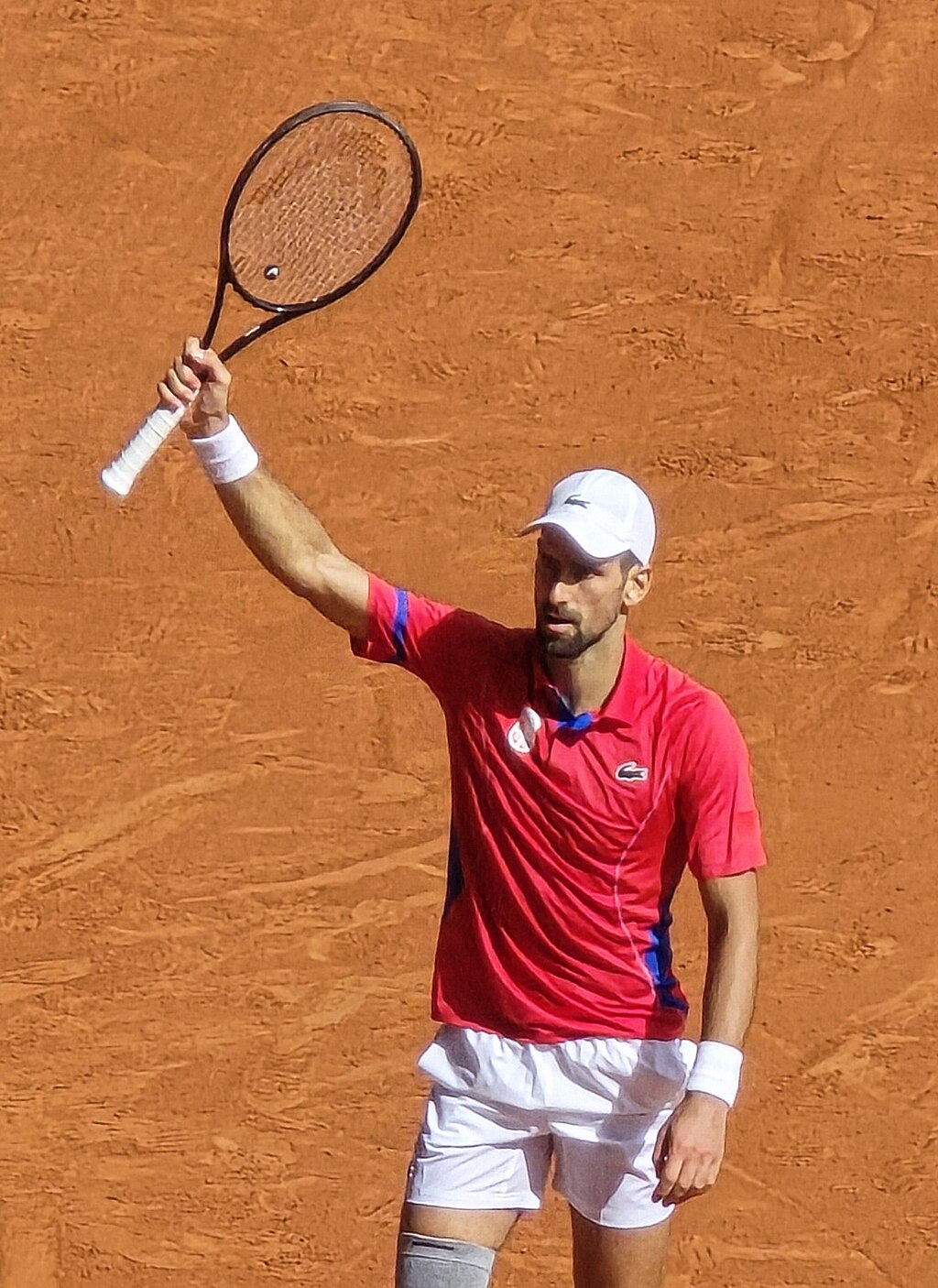 Novak Djokovic after winning gold at the Olympics