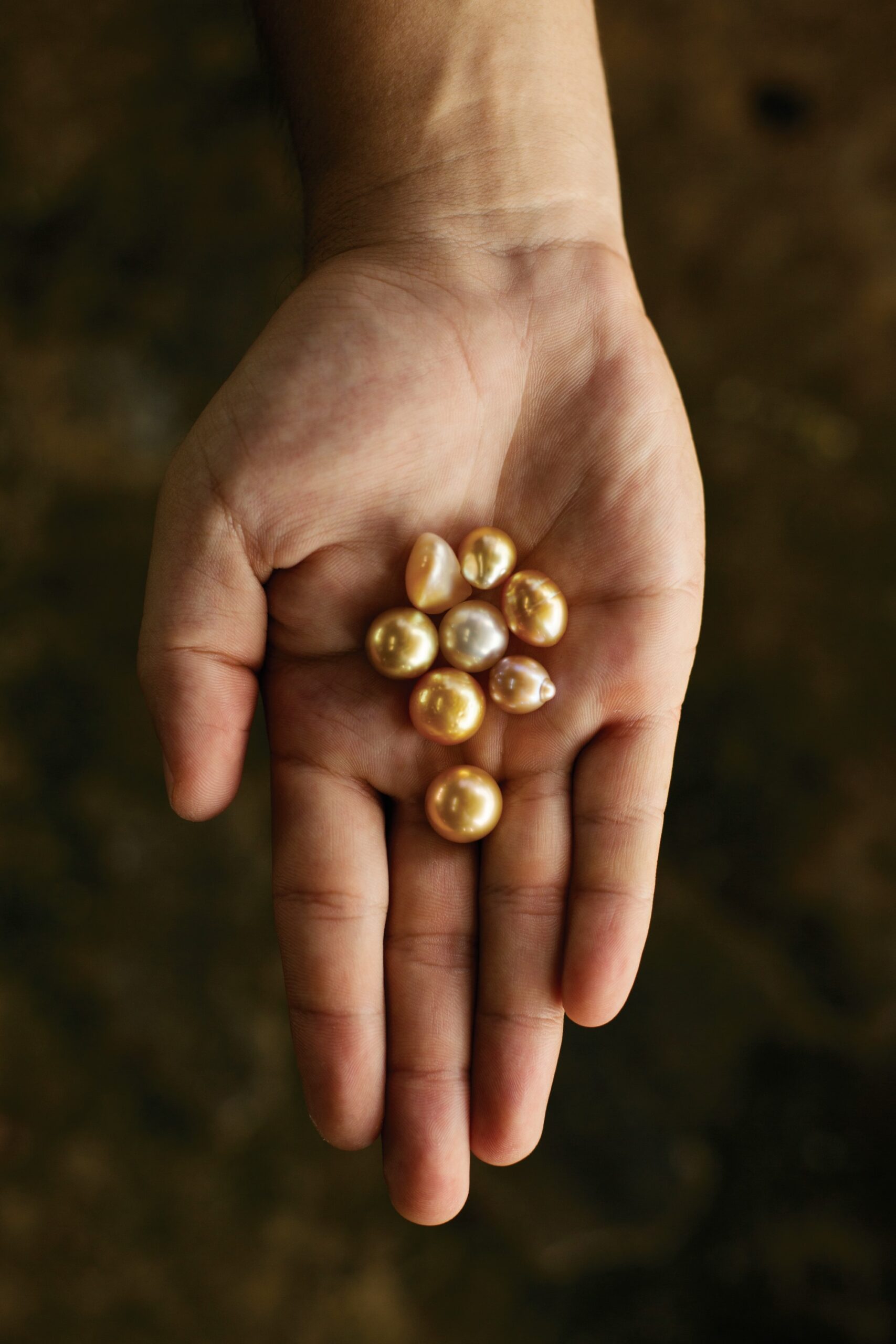South Sea pearls