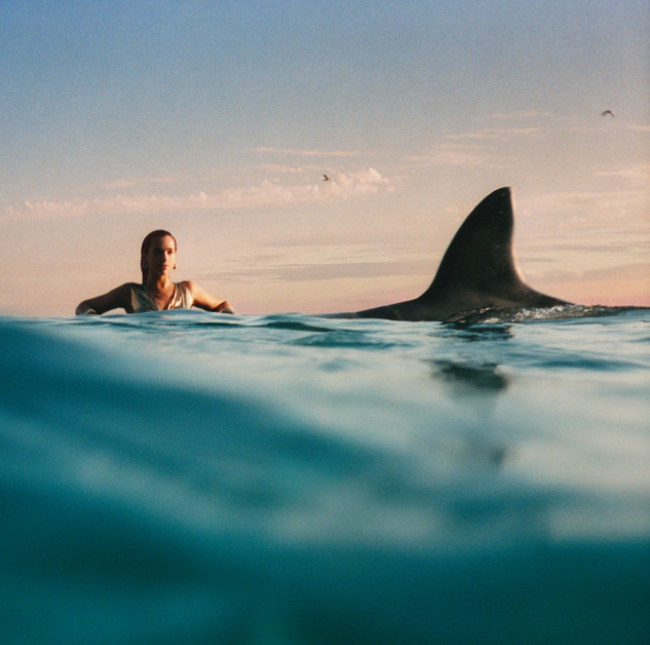 Dua Lipa and Ariana Grande also did not receive as much credit as fans expected for their 2024 albums