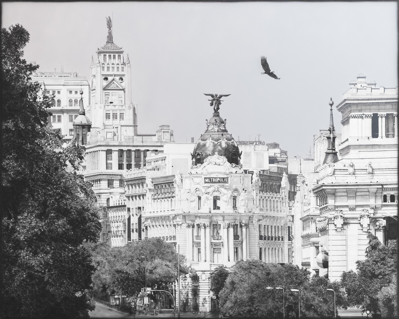 "Metropolis"
