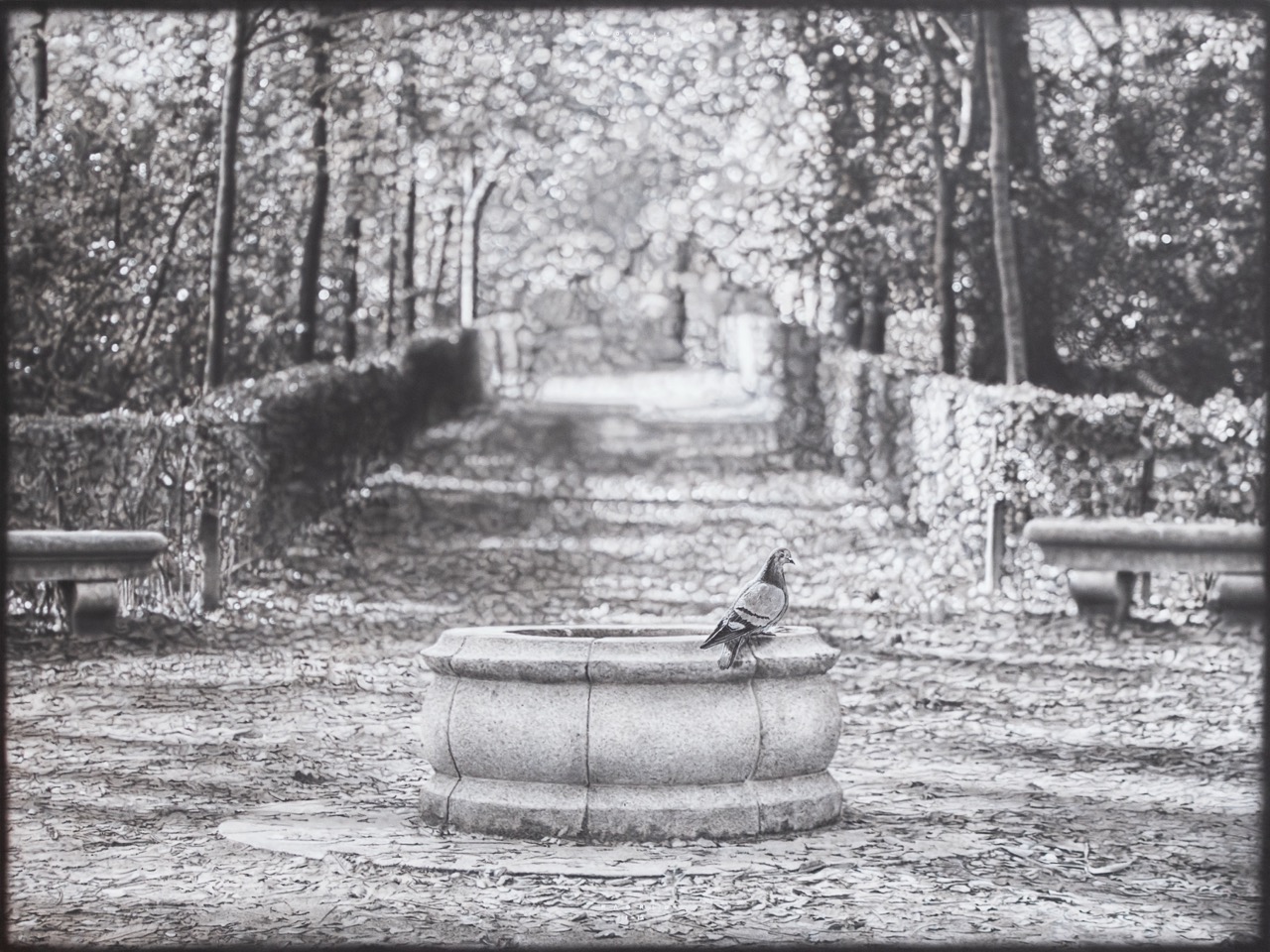 "Parque el Retiro I"