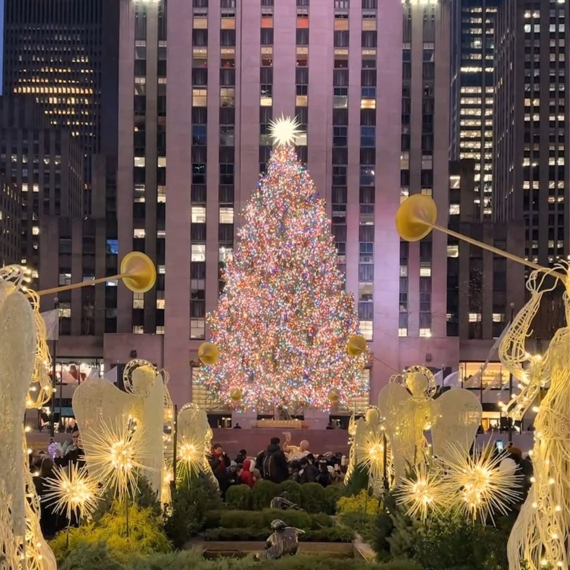 Holiday Travels: Stunning Christmas Trees Around The World
