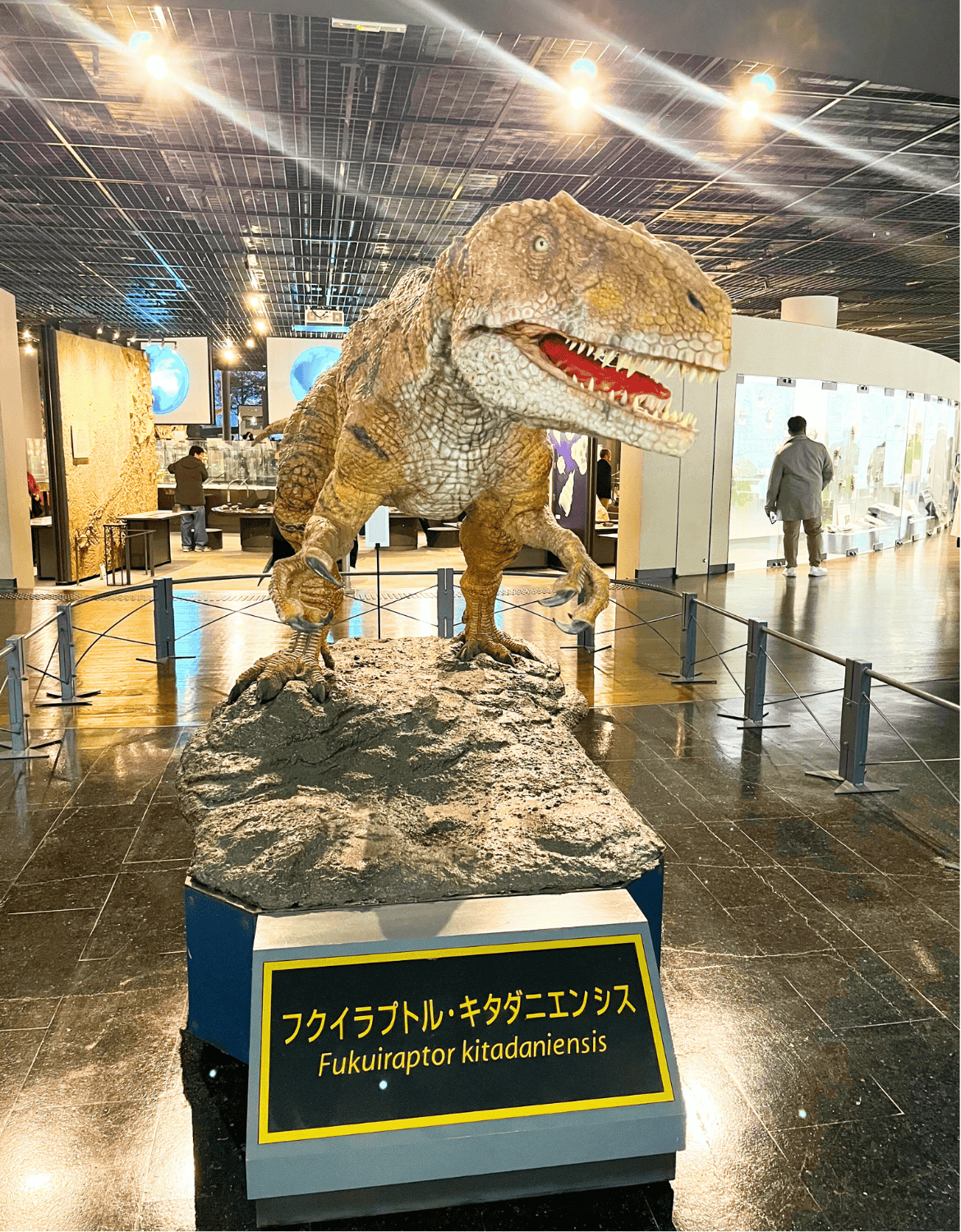 The Fukuiraptor is a unique species discovered in Fukui