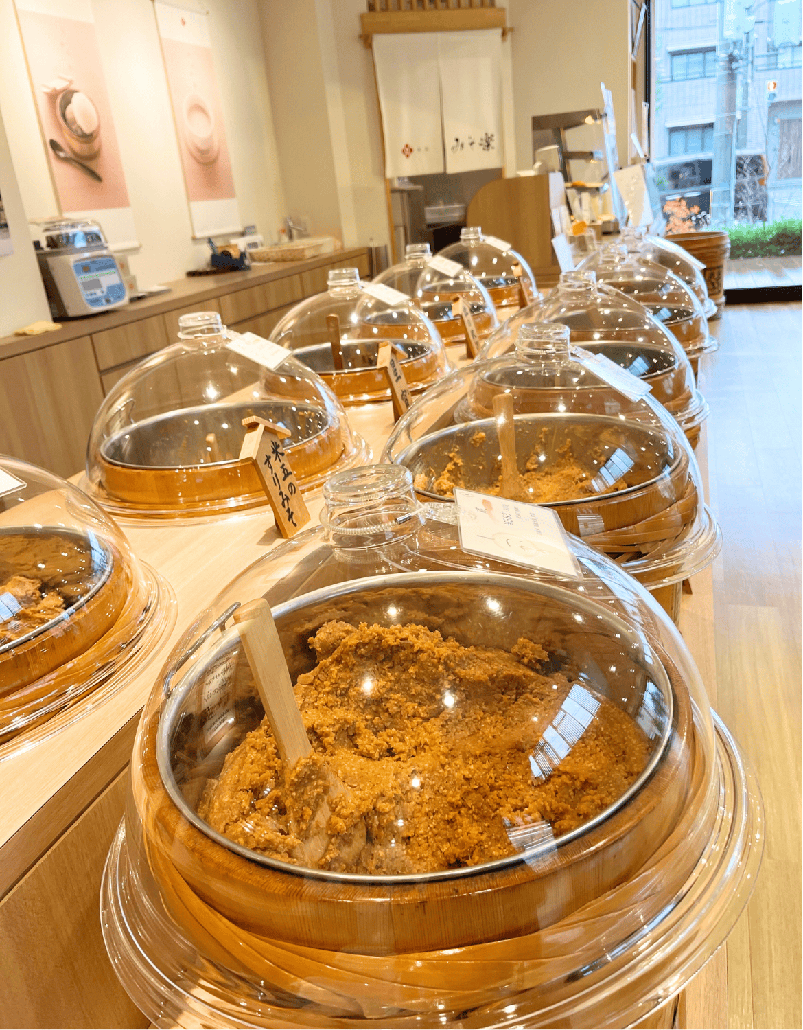 A variety of miso at the Komego miso shop