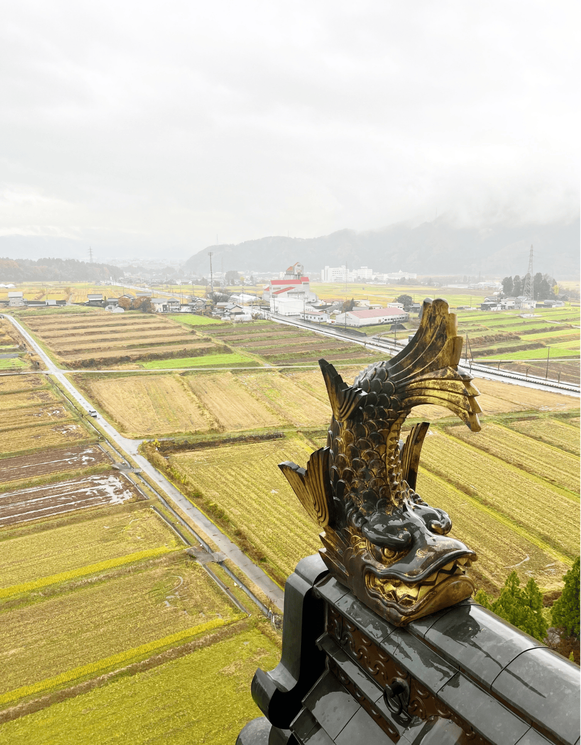 Sachihiko are half-fish half-tiger. This one sits at the top of Katsuyama Castle Museum in Fukui Japan
