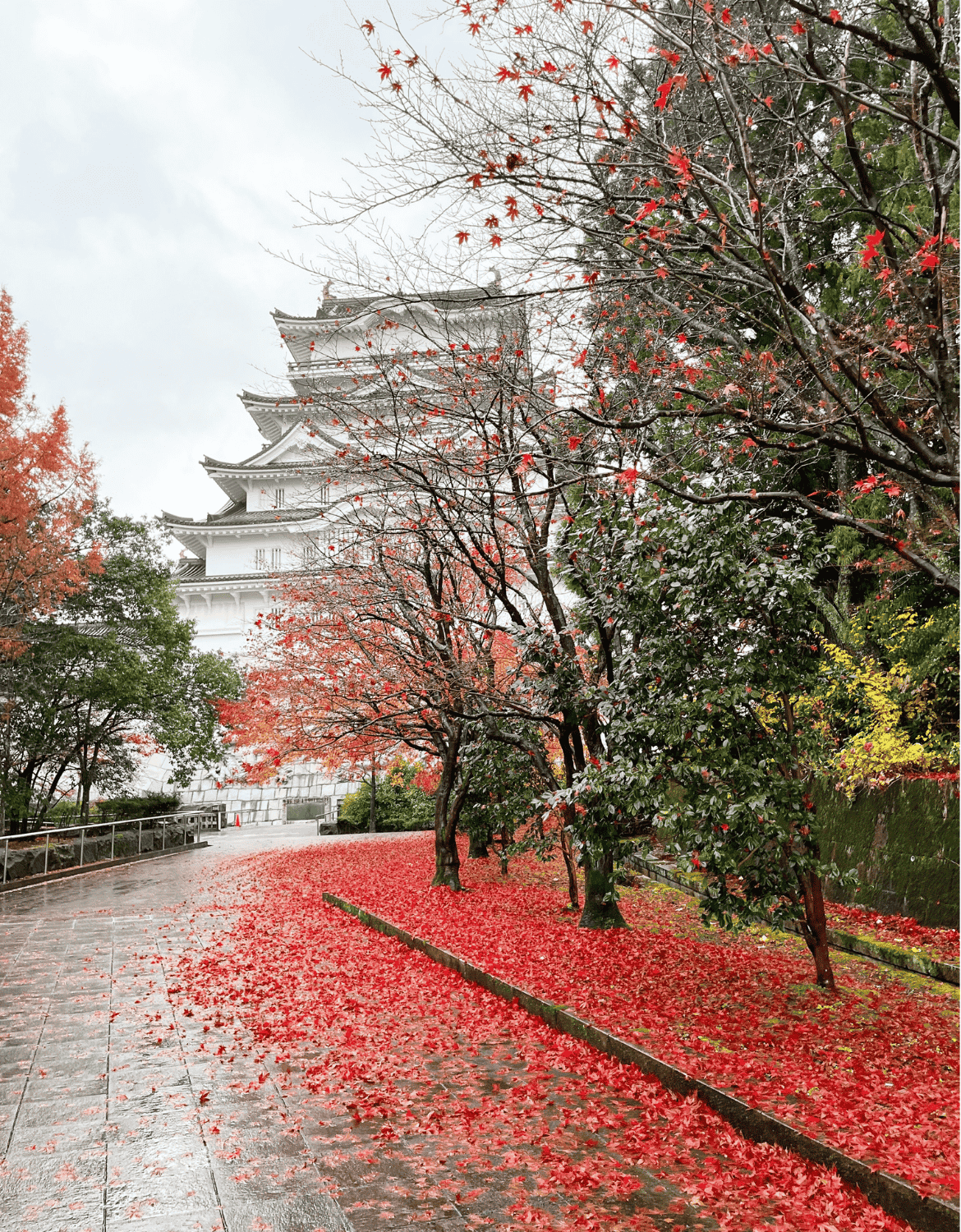 Katsuyama Castle Museum in the fall in Fukui Japan