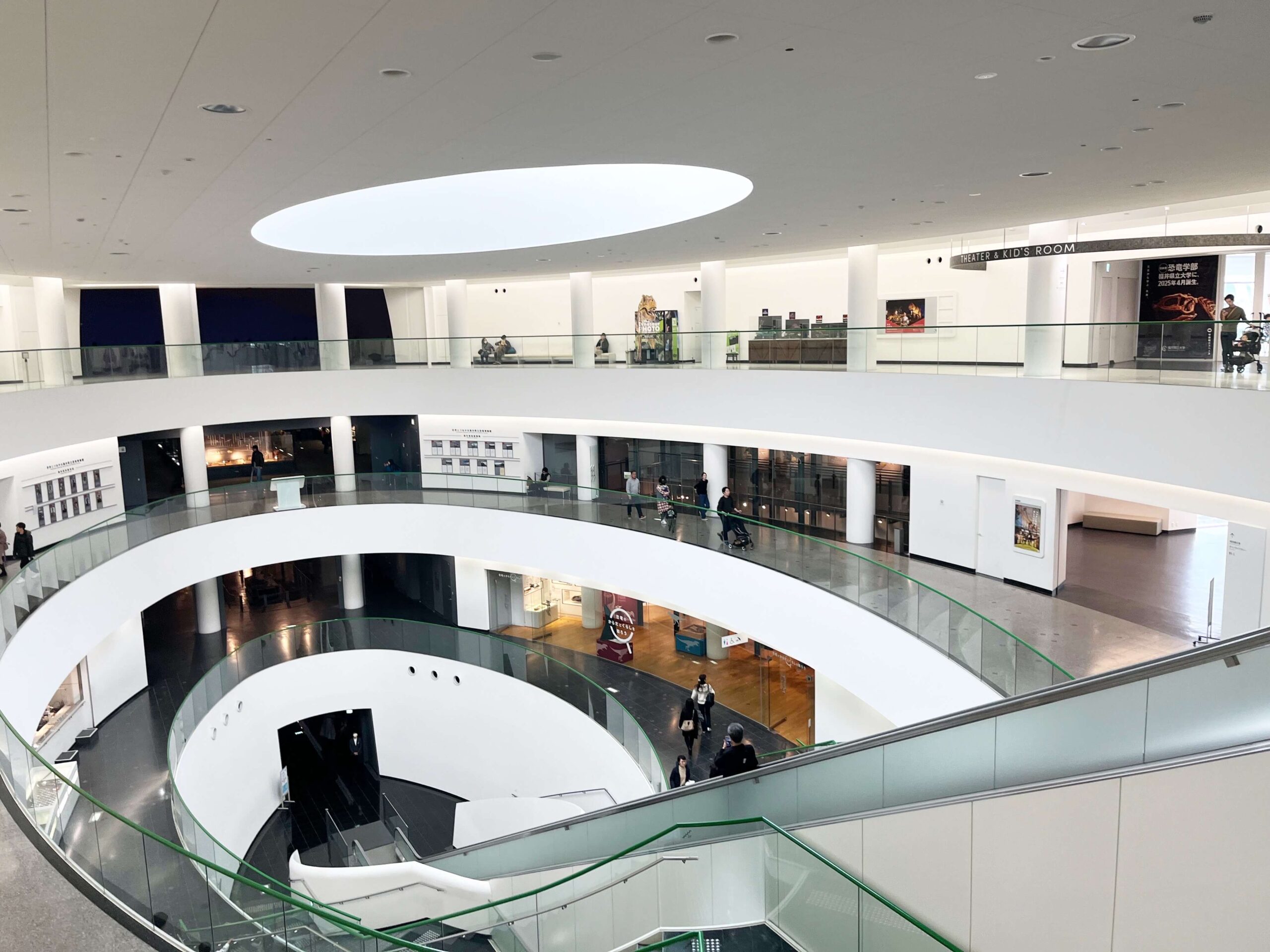 The Fukui Prefectural Dinosaur Museum's central rotunda