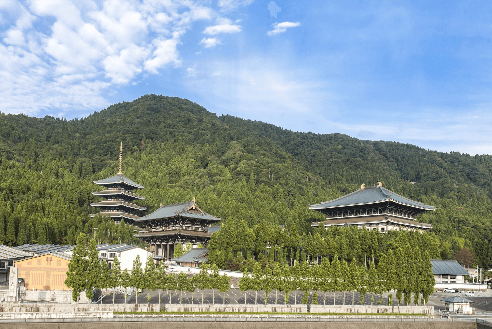 The Echizen Daibutsu complex 