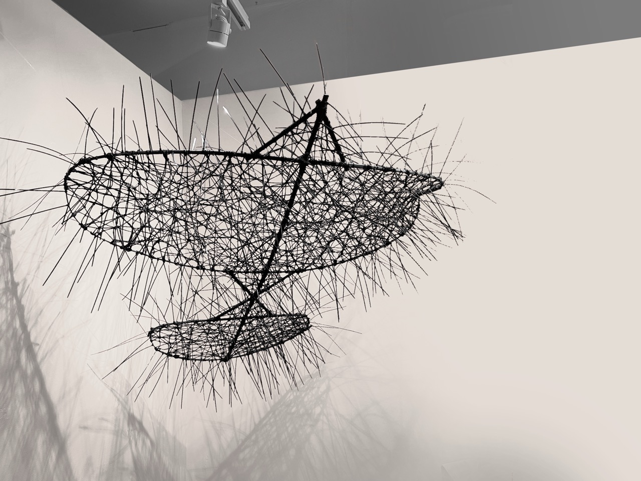 "Wind Catcher" (2024), made with bamboo kite frame, crop twines, nylon cable ties, epoxy, and acrylic