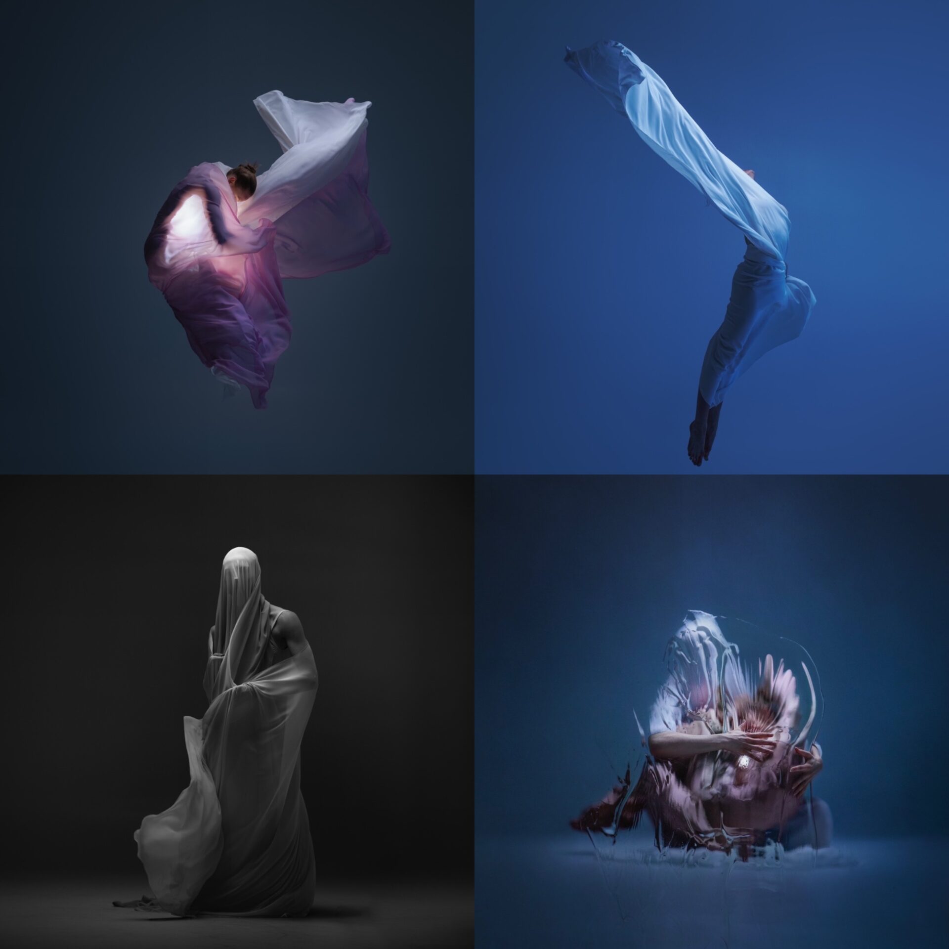 Nicolas Ipina's works of art