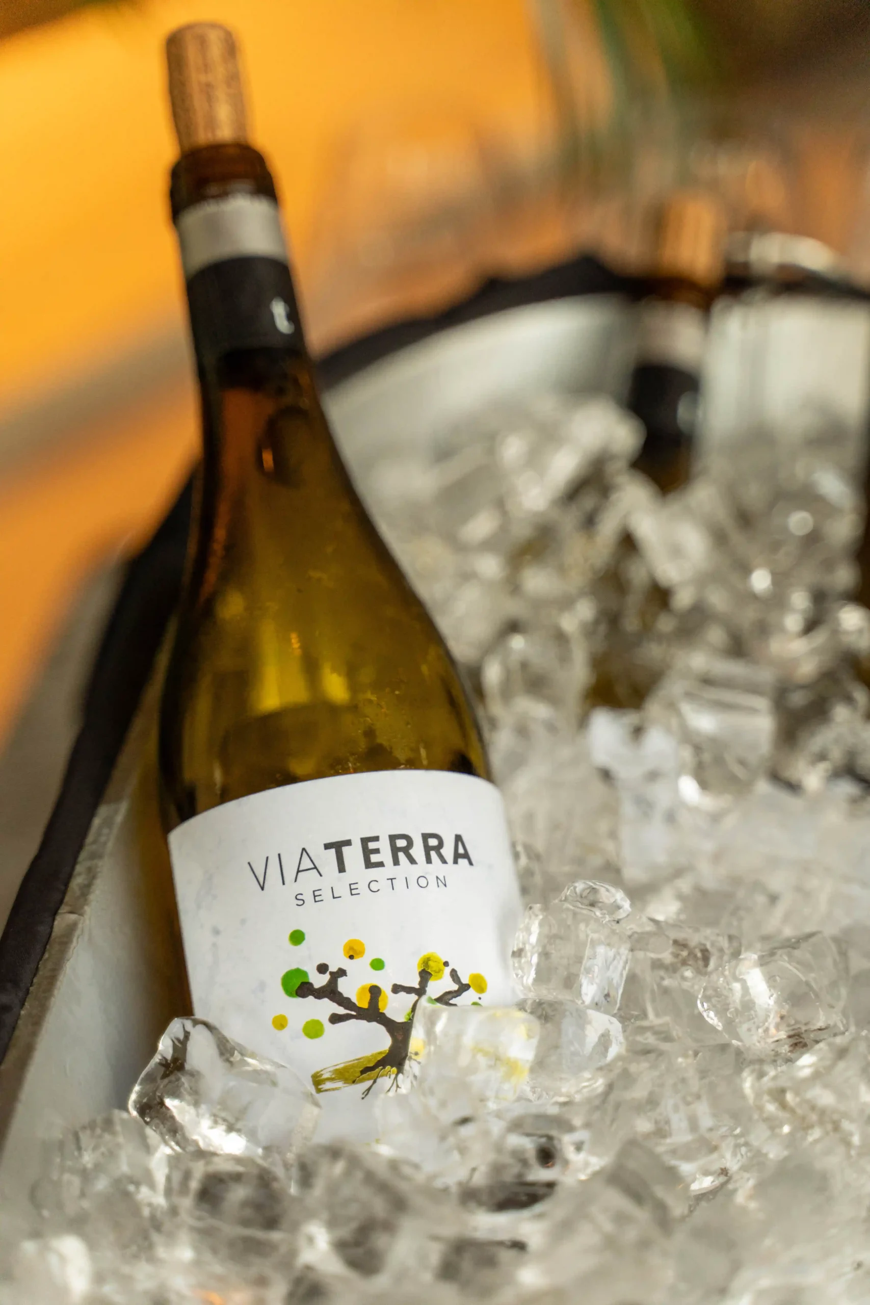 Accompanying the delicious bites were two wines from family-owned winery Edetària