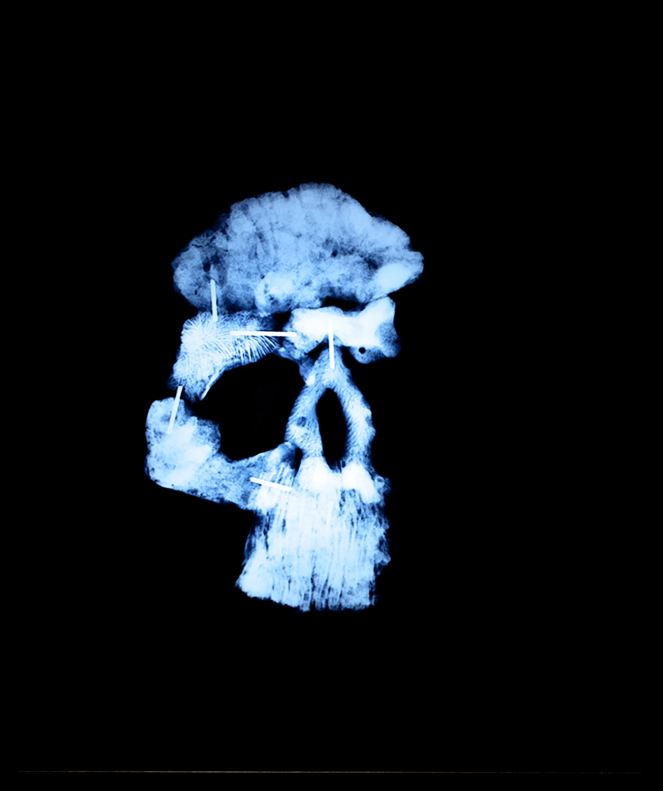 "countercurrents" by Gregory Halili and Nona Garcia (2018, duratrans and lightbox)