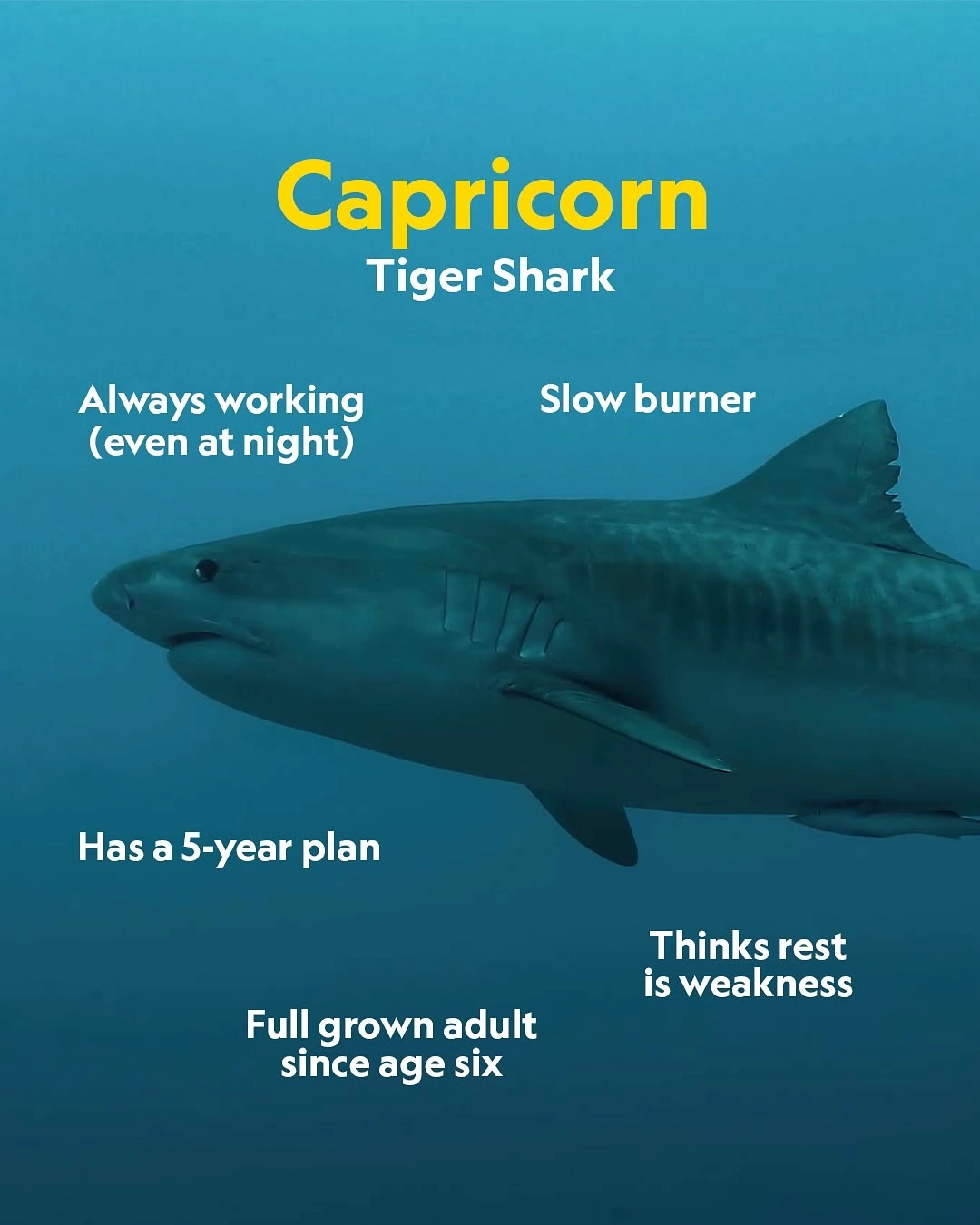 Astrology’s Power Lies In Labels, Not The Stars