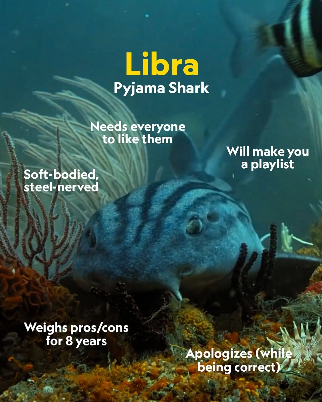 Astrology’s Power Lies In Labels, Not The Stars