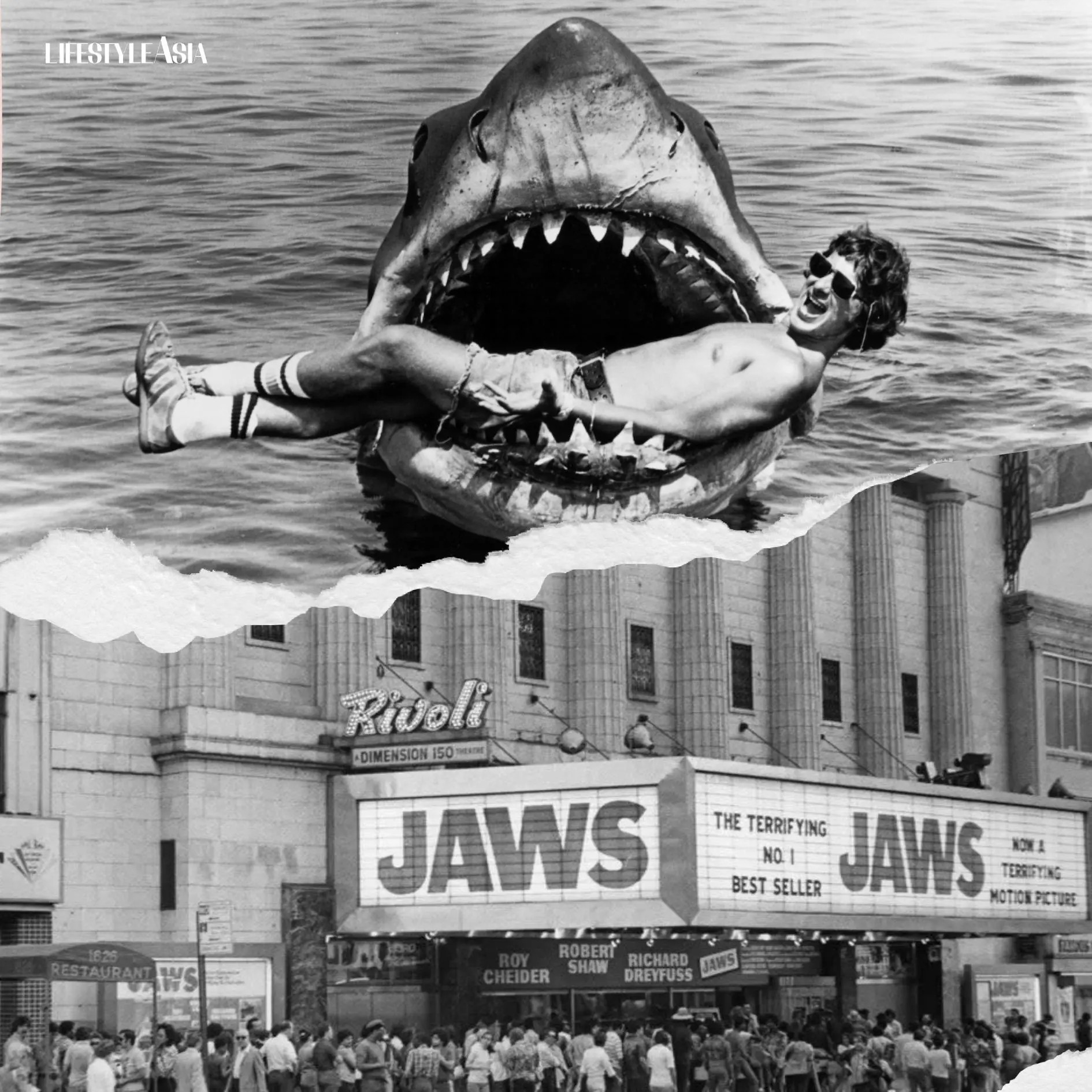 JAWS @ 50