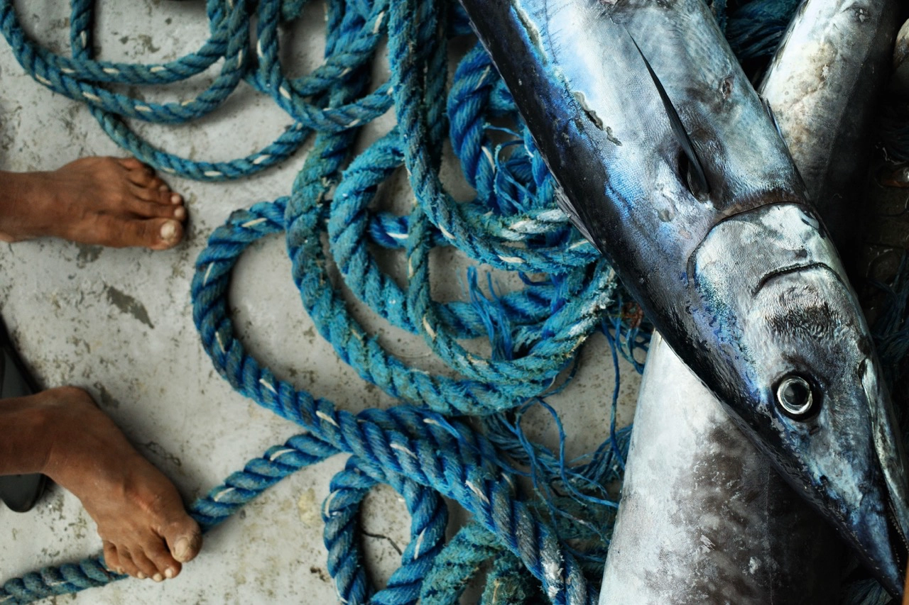 Snapshots Of Batanes by Mikel Panlilio