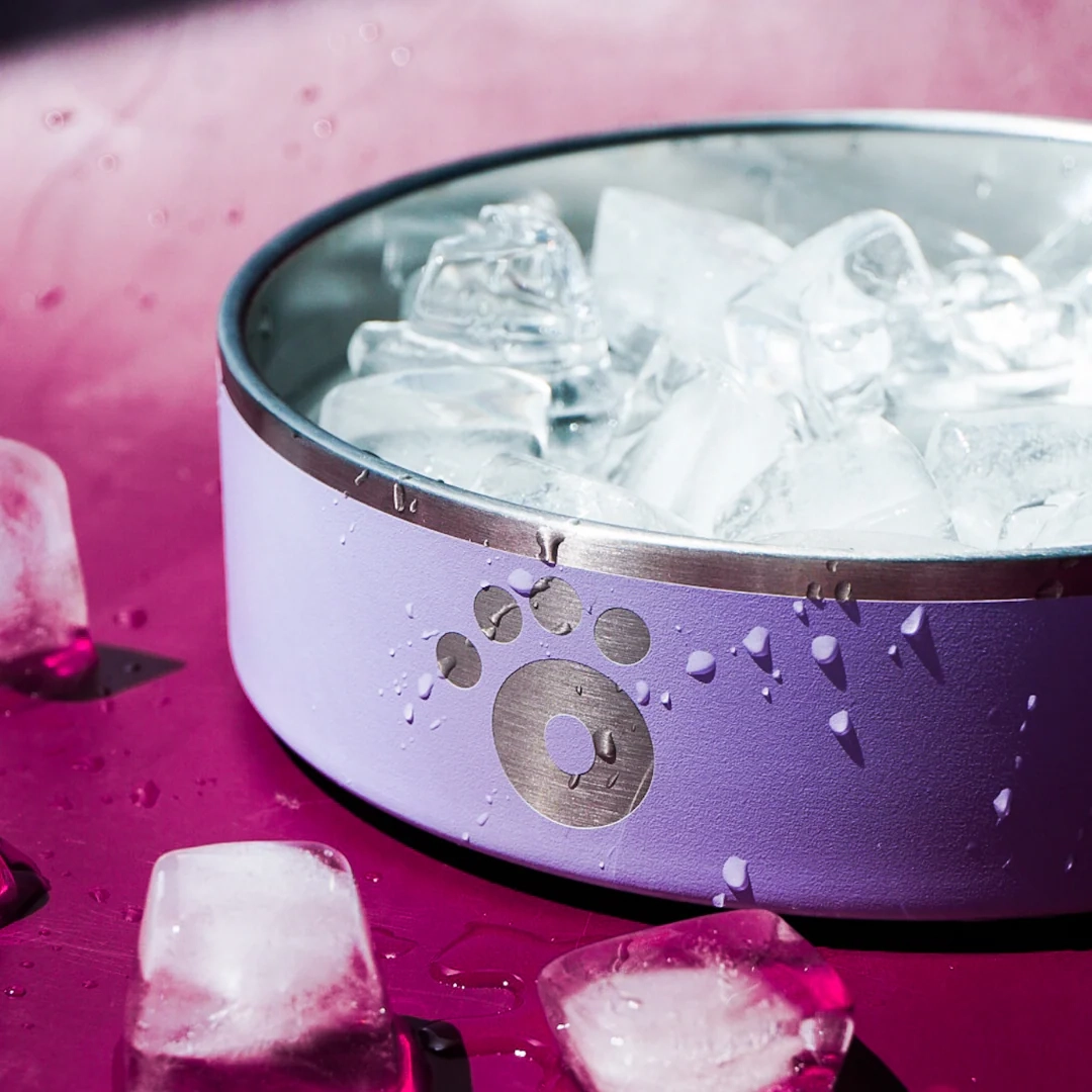 7 Pet Parenting Essentials to Make Life a Breeze