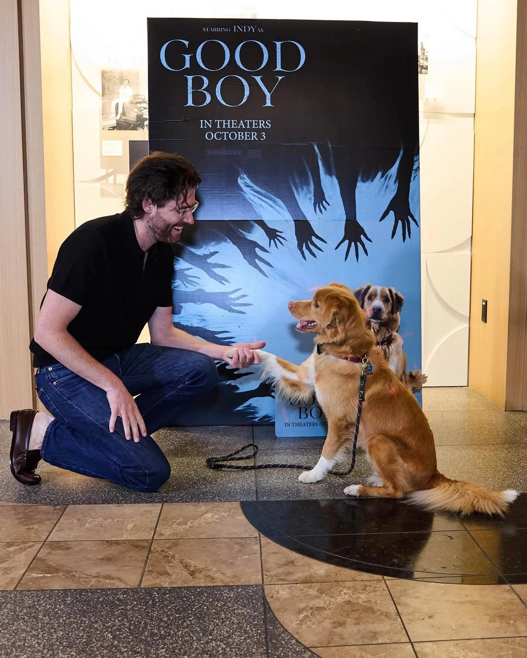 Movie Review: “Good Boy” Finds Horror In Helpless Devotion