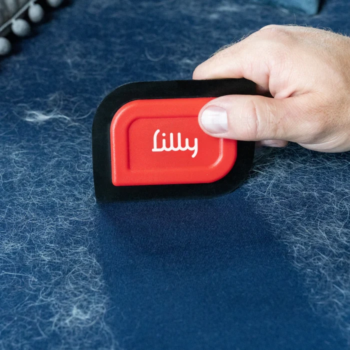 7 Pet Parenting Essentials to Make Life a Breeze