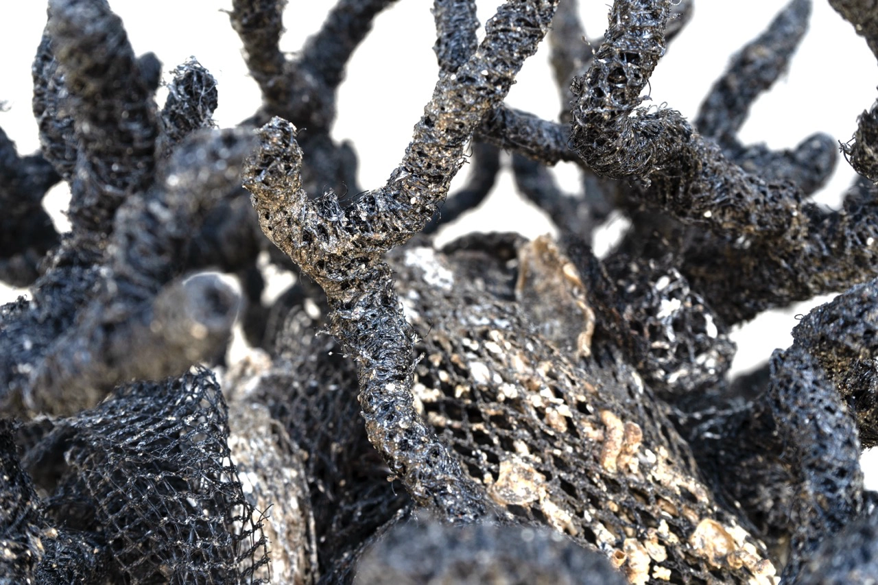 Silverlens Presents Shows By Poklong Anading And Carina Santos This November 2025