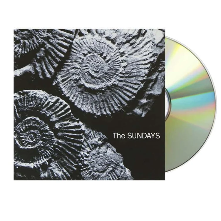 A Very Specific Holiday Gift Guide For The Music Lover