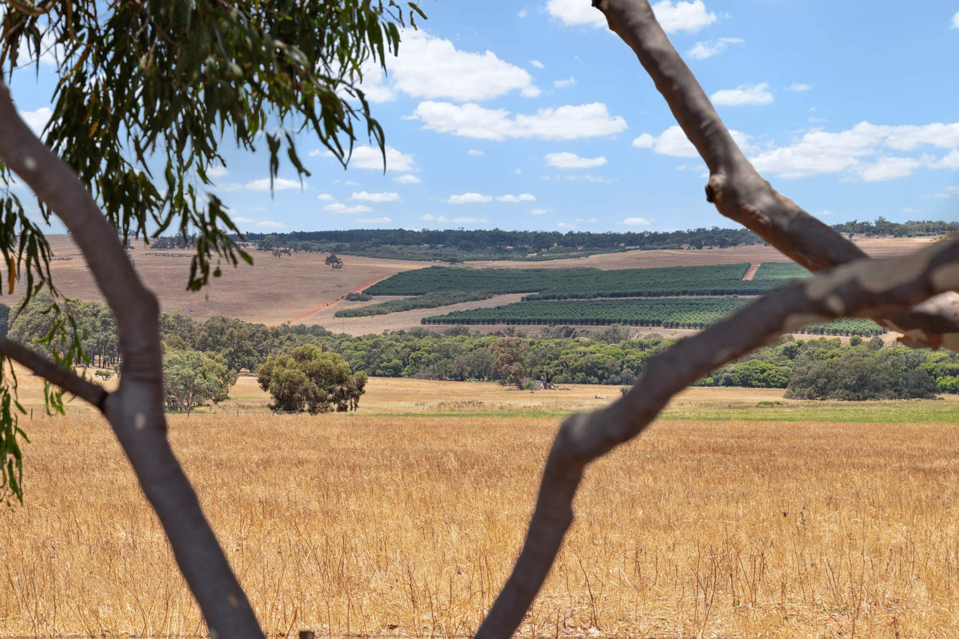 627 Cheriton Road, Gingin, WA 6503 AUS
