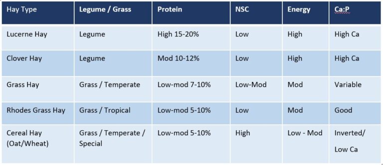 Hay Analysis Different Nutritional Values of Hays | Pegasus Feed