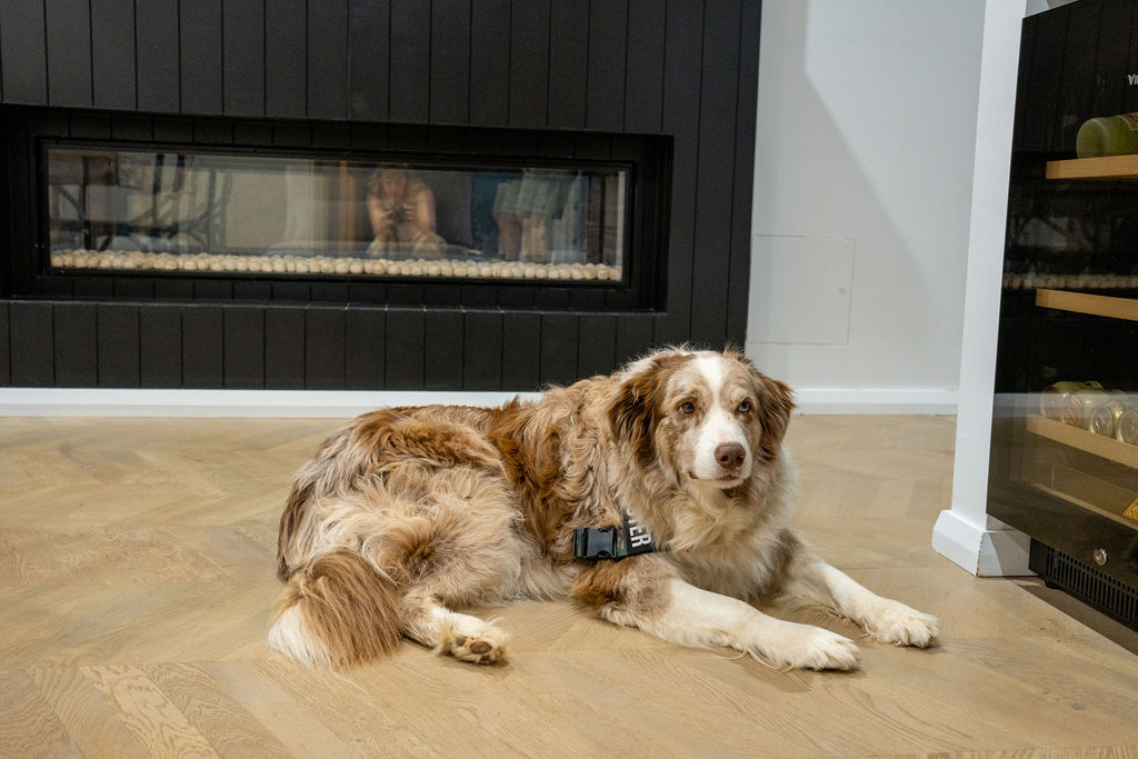modular home kitchen with integrated appliances