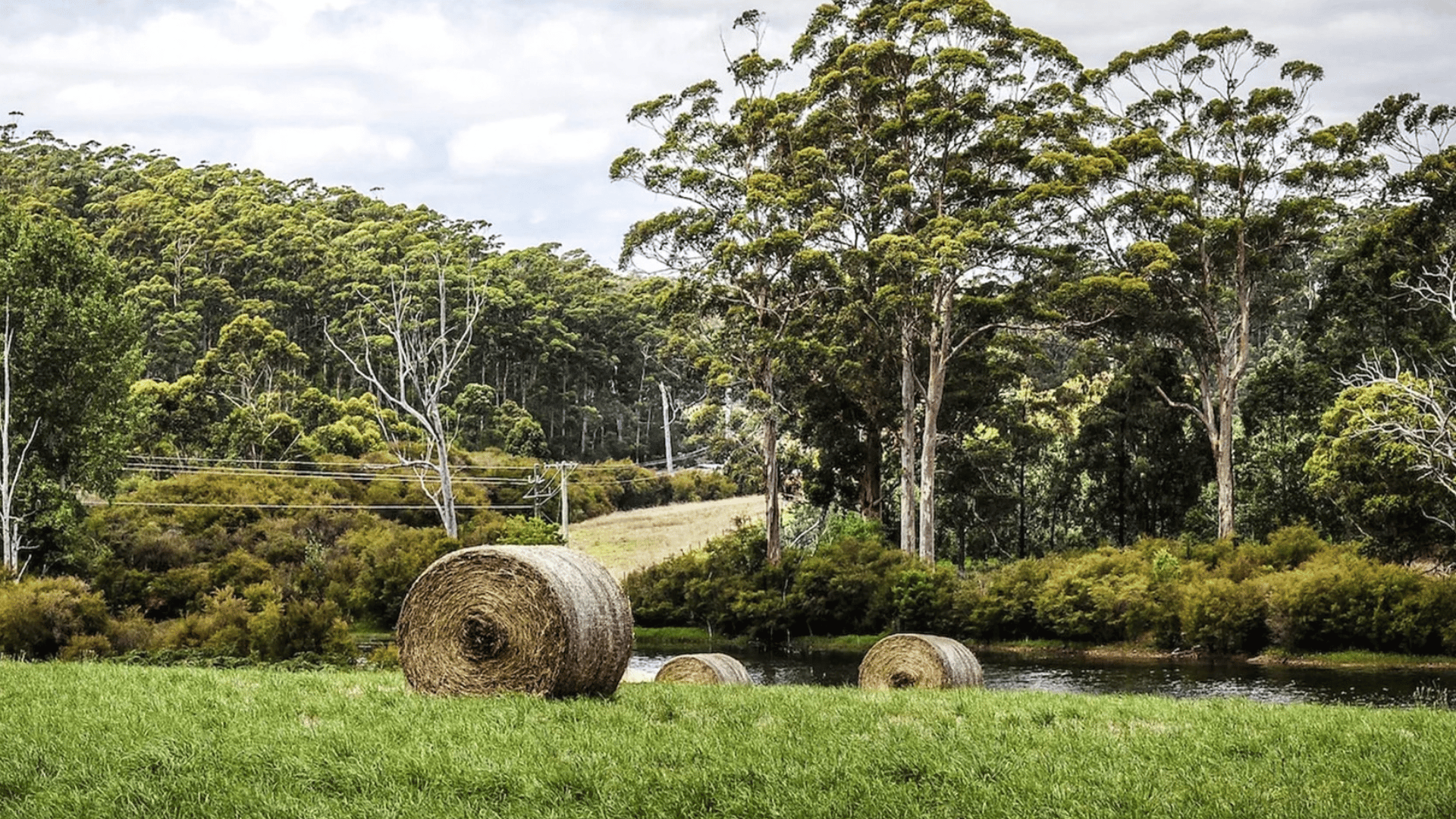 Our Modular Homes in Manjimup