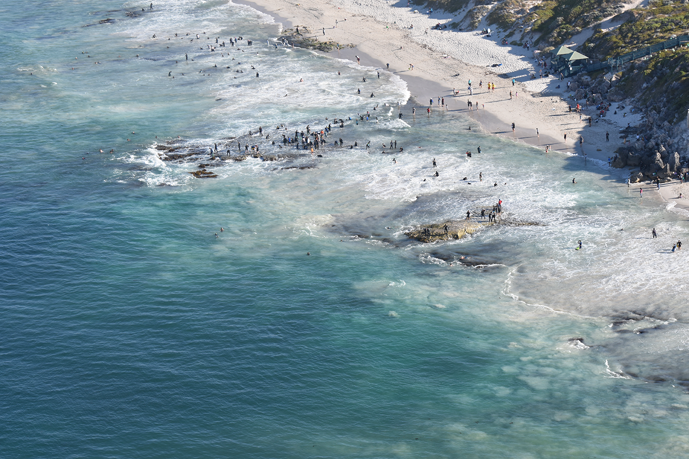 Aerial view of abalone fishers on a rocky coastal platform