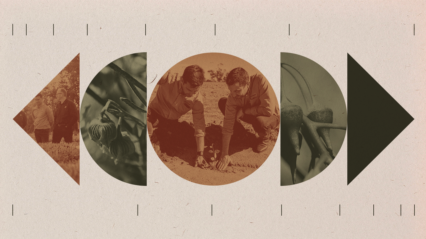 Nativ Carbon_Blog Asset_Dec v1