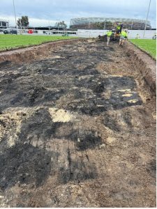 Original turf
