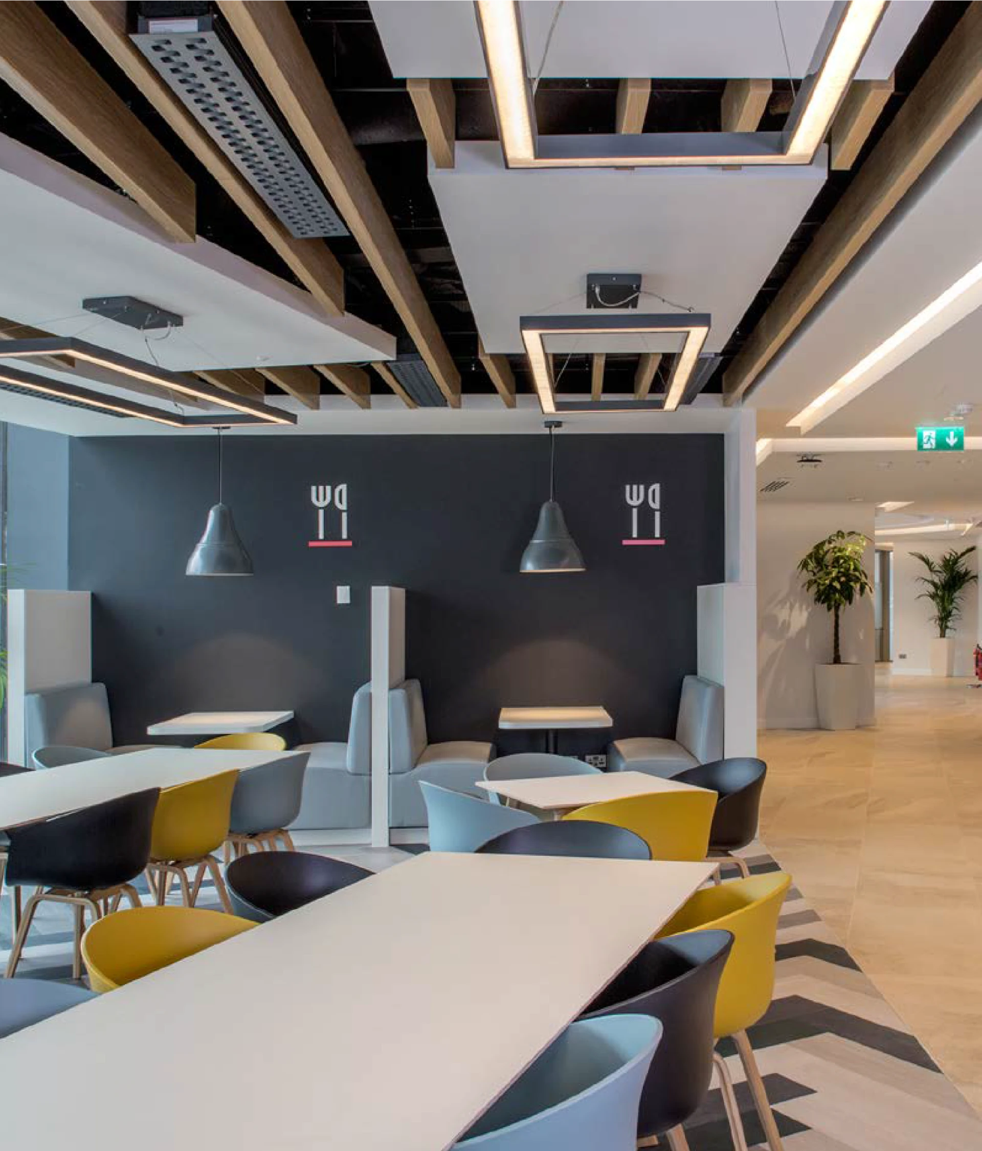 go shawk dublin project