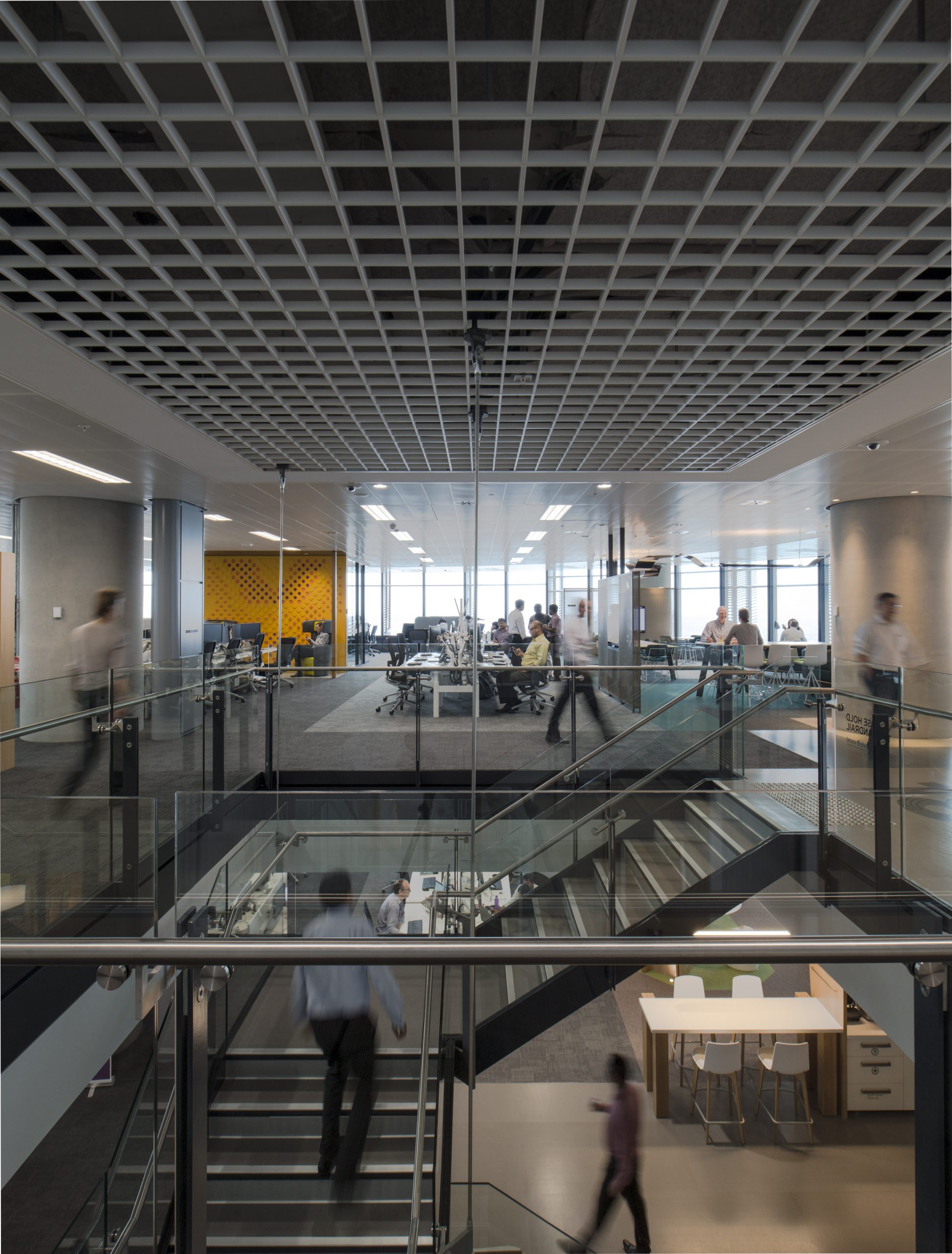 SAS 800 Trucell open cell ceiling - Westpac fit-out Barangaroo - commercial interior design