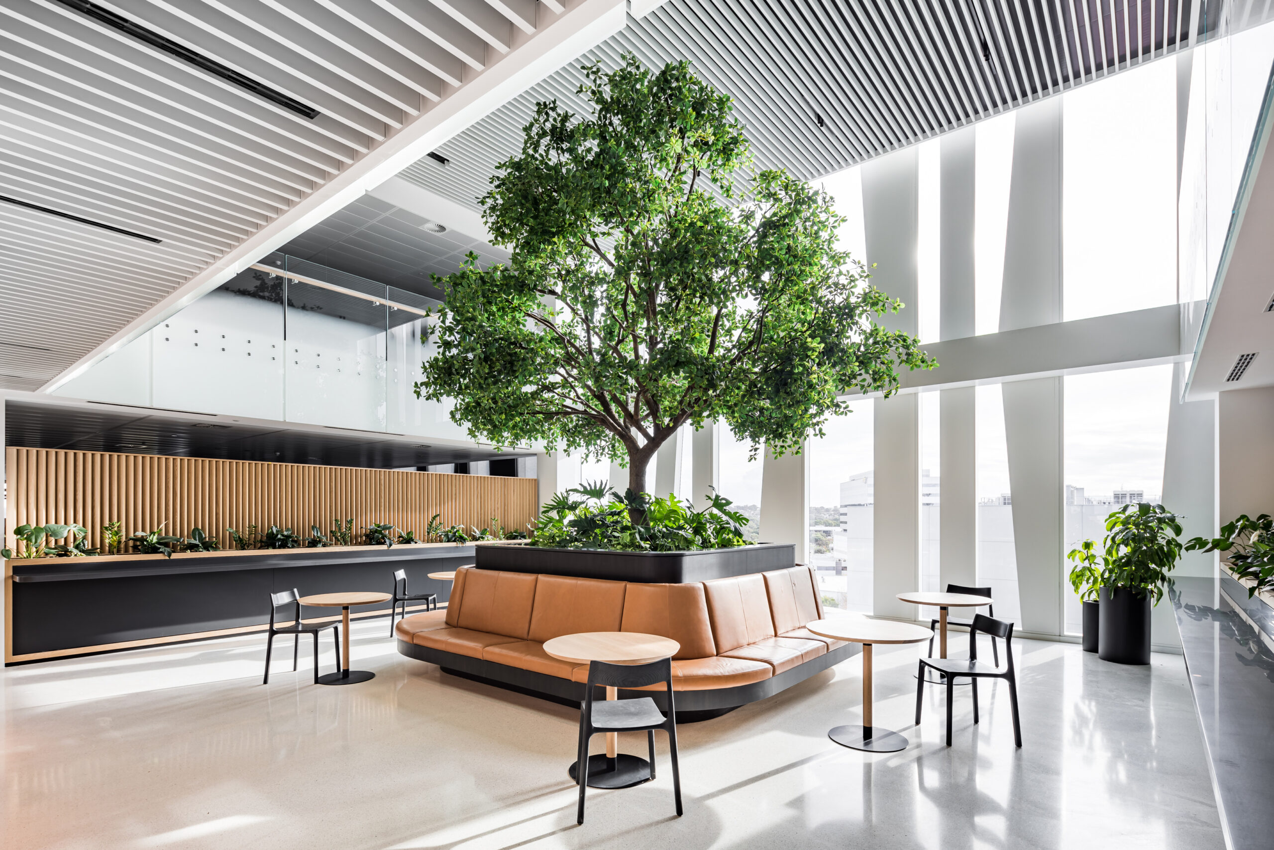 Baffle Ceilings 