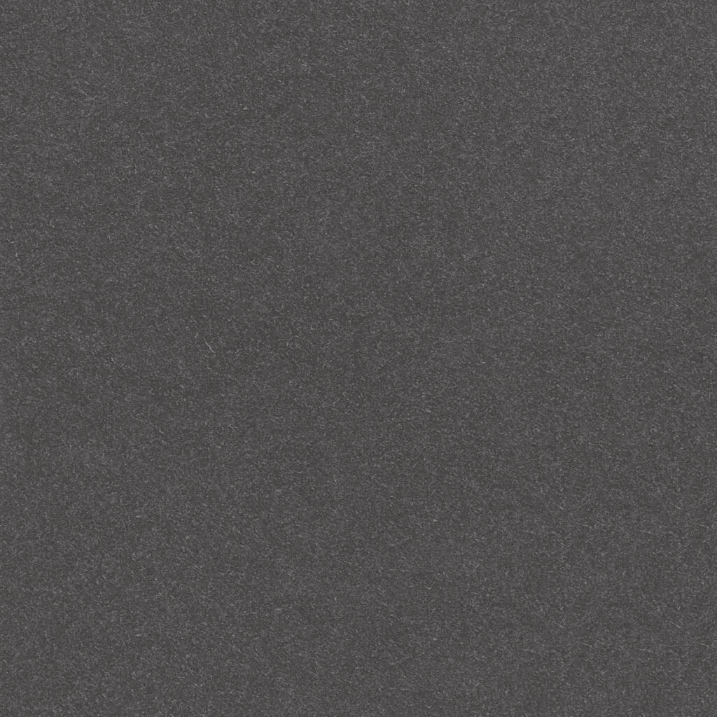 N251