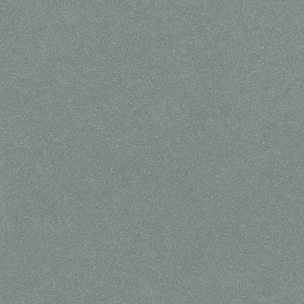 N411