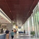 Little Creatures Ceiling Elizabeth Quay