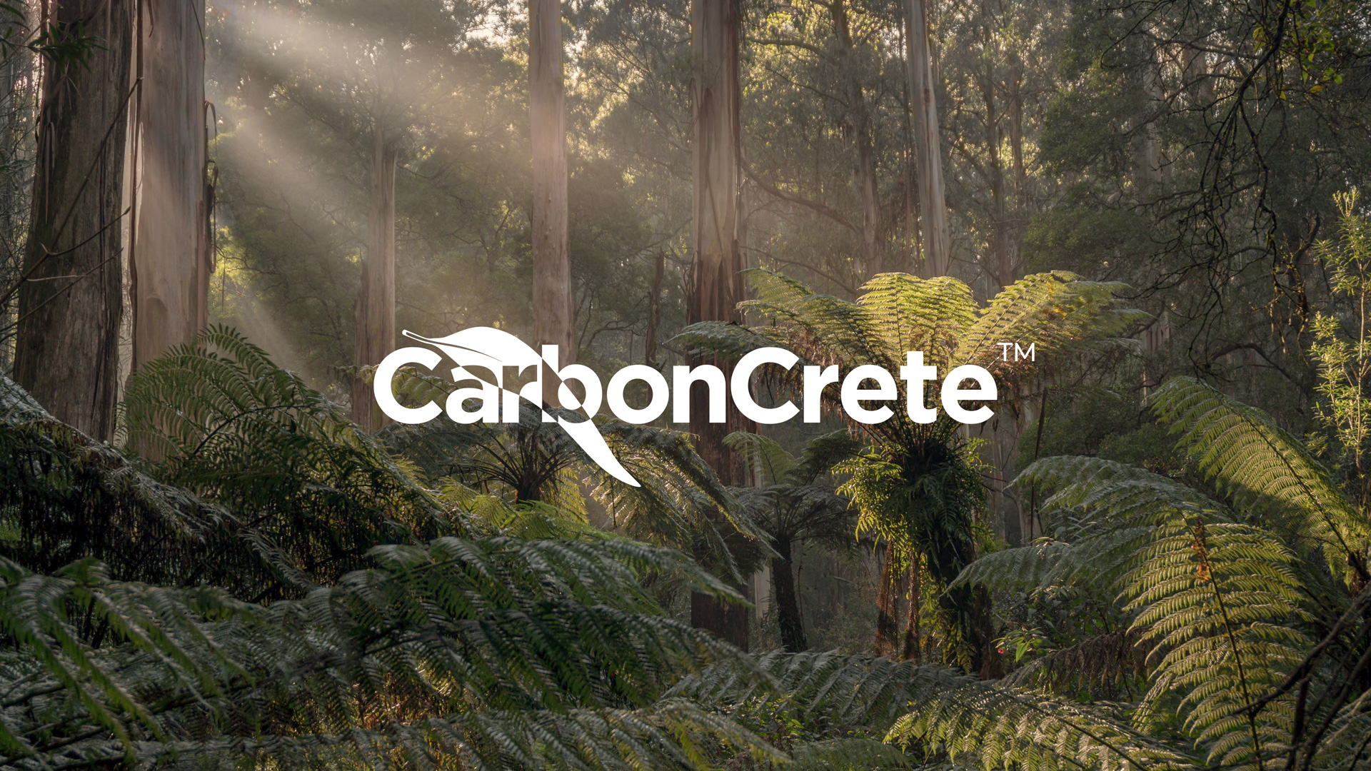 Reduced Carbon Concrete