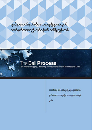 Standardized-Induction-Training-Burmese-cover-3.jpg Image