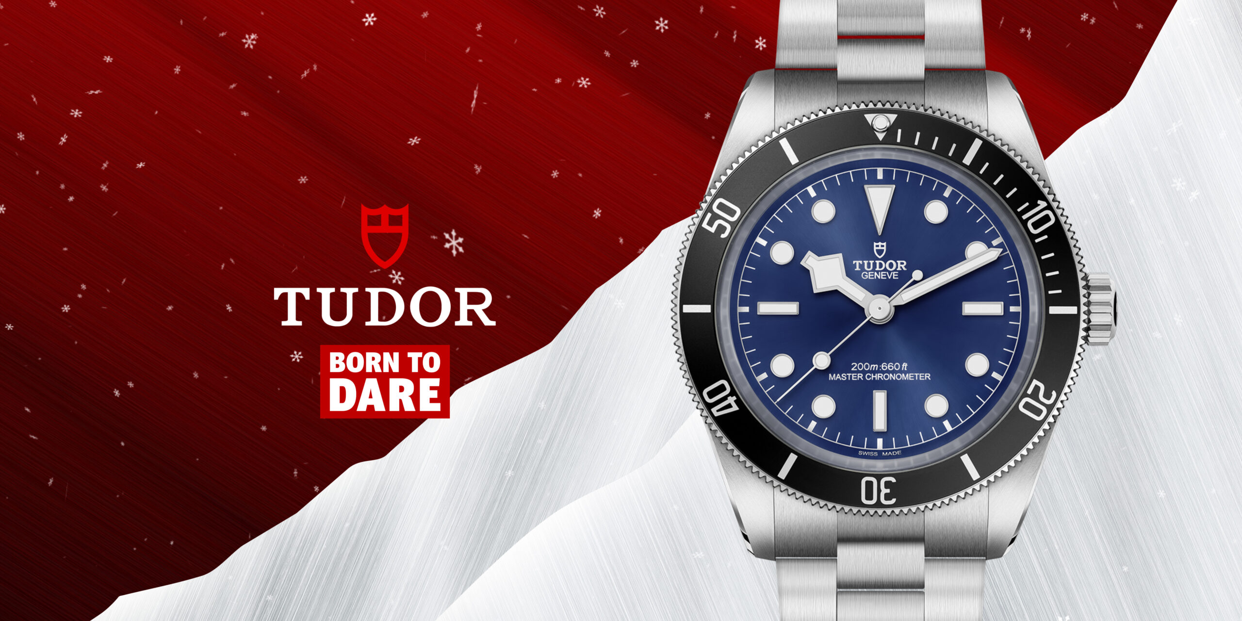 Tudor-banner-2-scaled