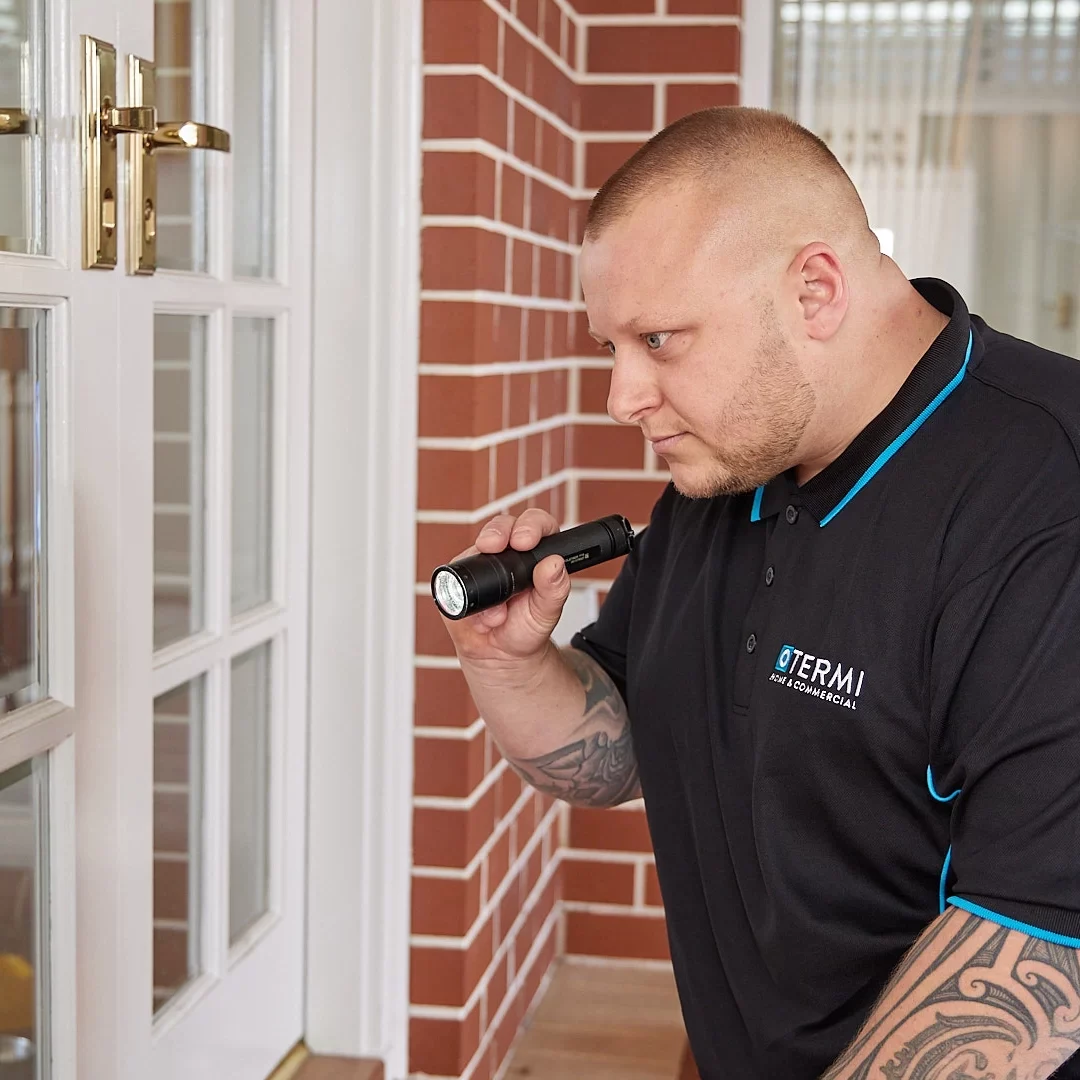Termite Inspection – Adelaide