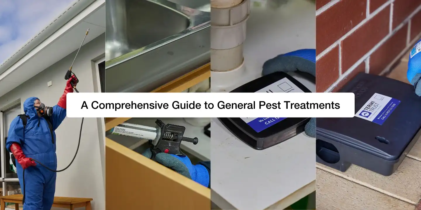 Feature image for a pest control blog titled: A Comprehensive Guide to General Pest Treatments