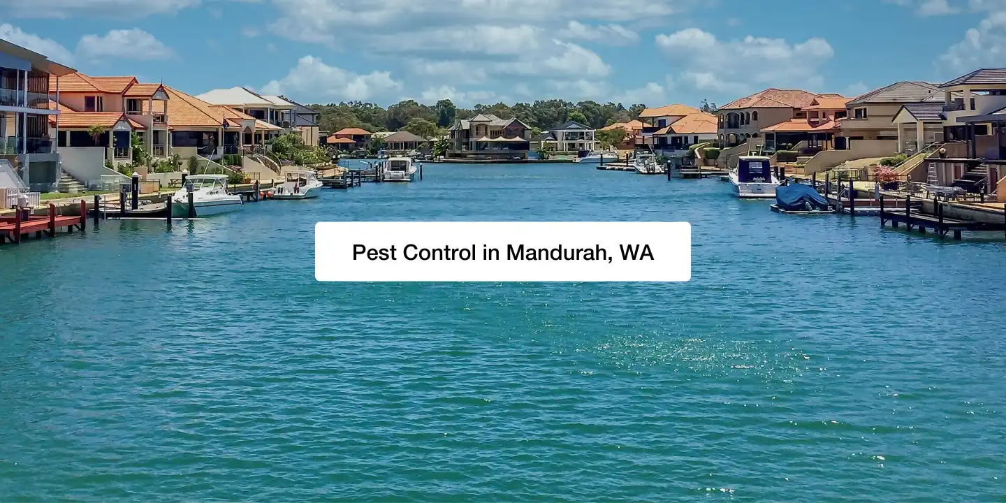 Canal lined with large homes in the City of Mandurah, Western Australia.