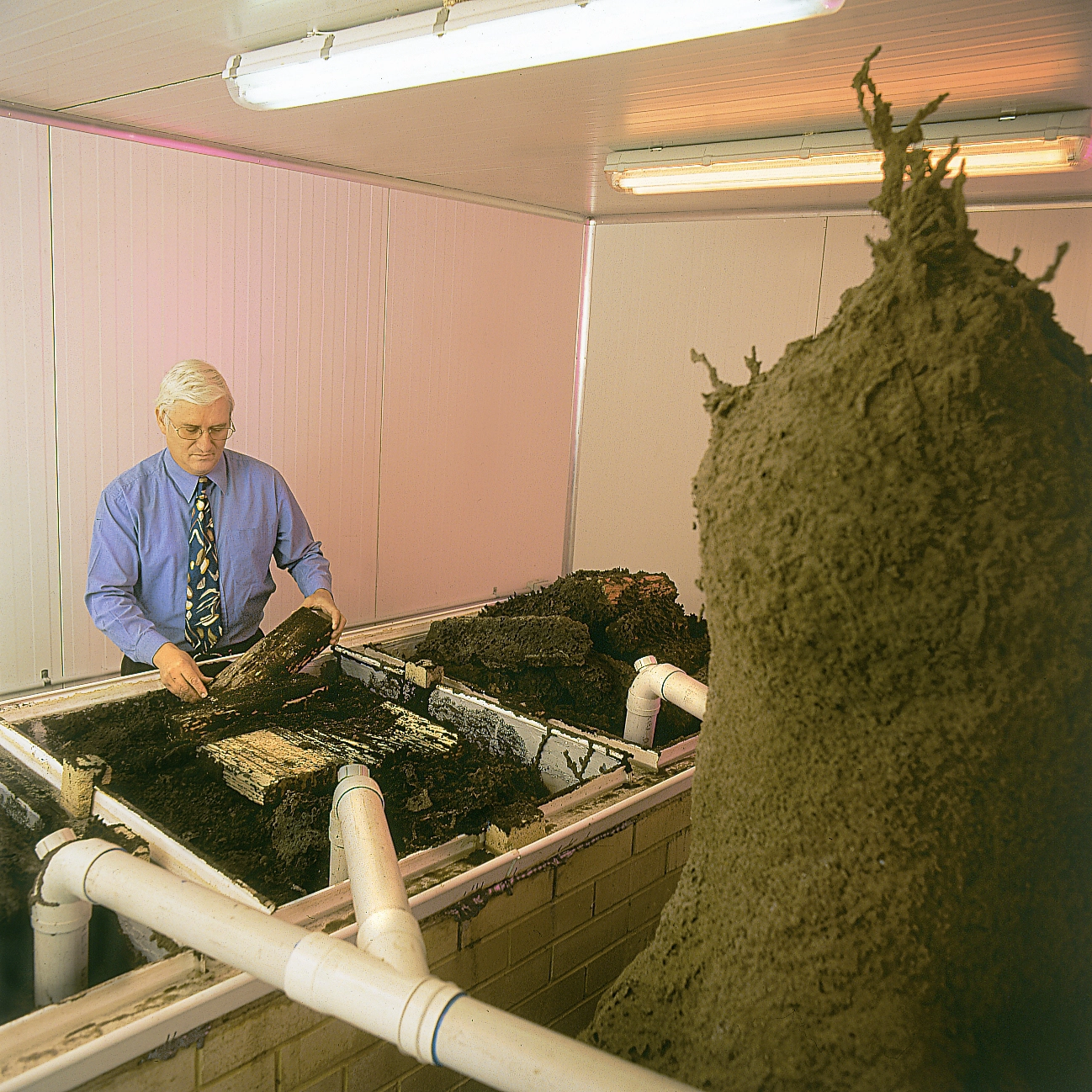 Termite researcher. Geoff Richardson, standing inside the active termite lab located at Termi Home & Commercial's Perth office.