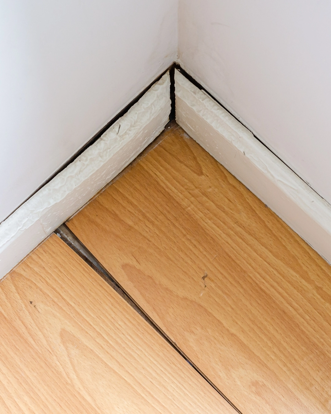 Swollen or rotting skirting boards, door frames, etc.