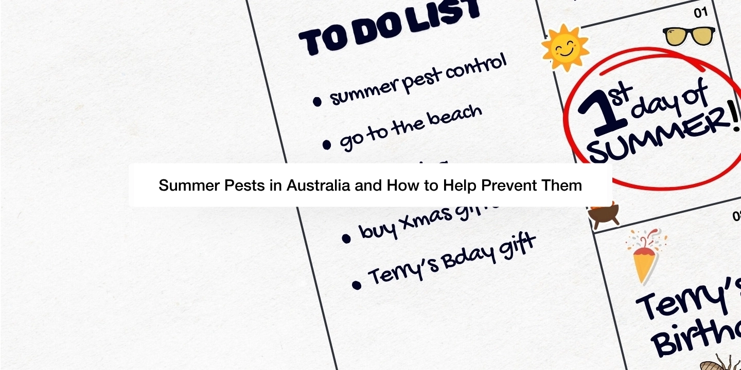 Summer Pests in Australia and How to Prevent Them Blog Feature Image