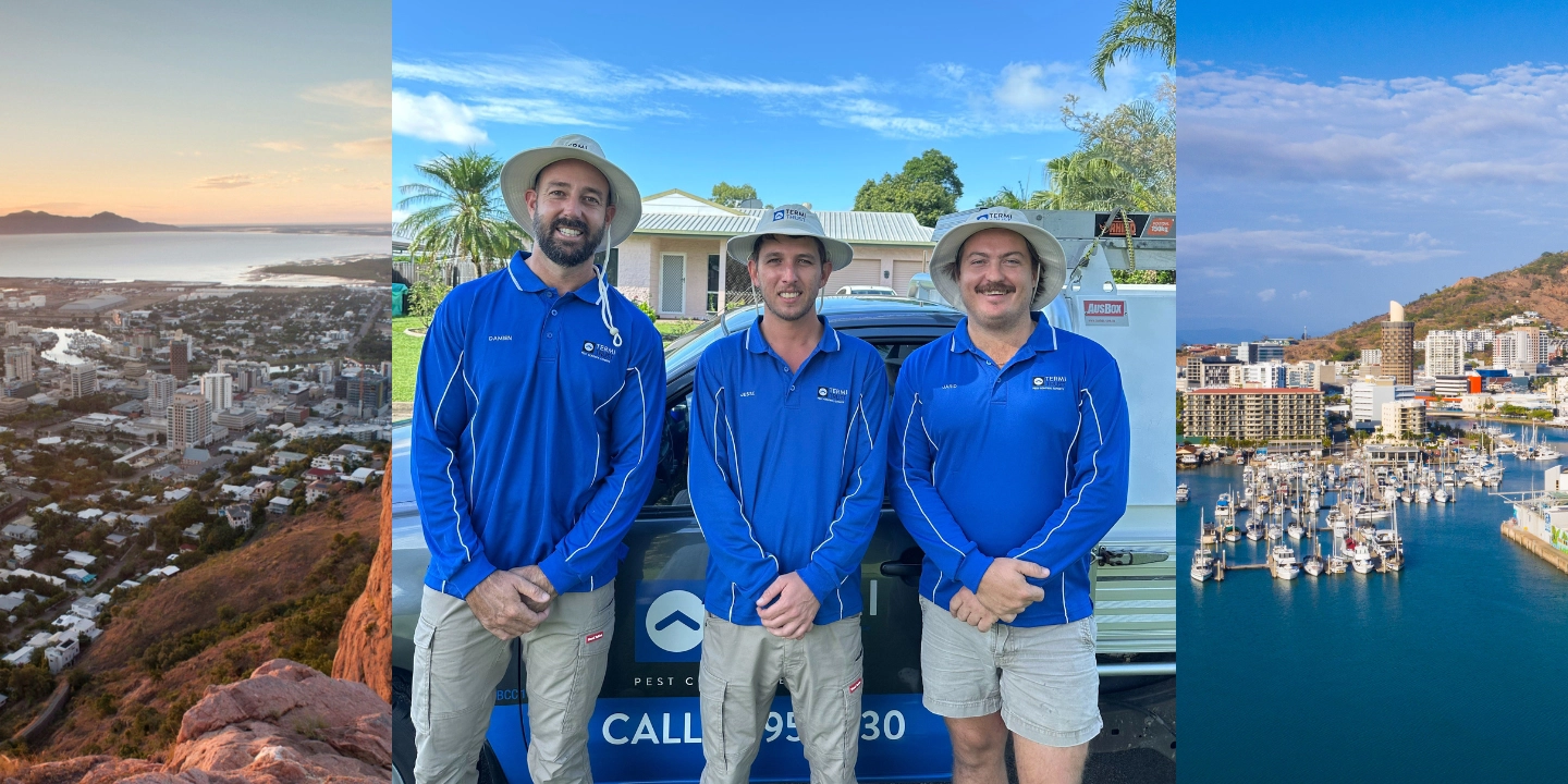 Townsville pest control blog feature image
