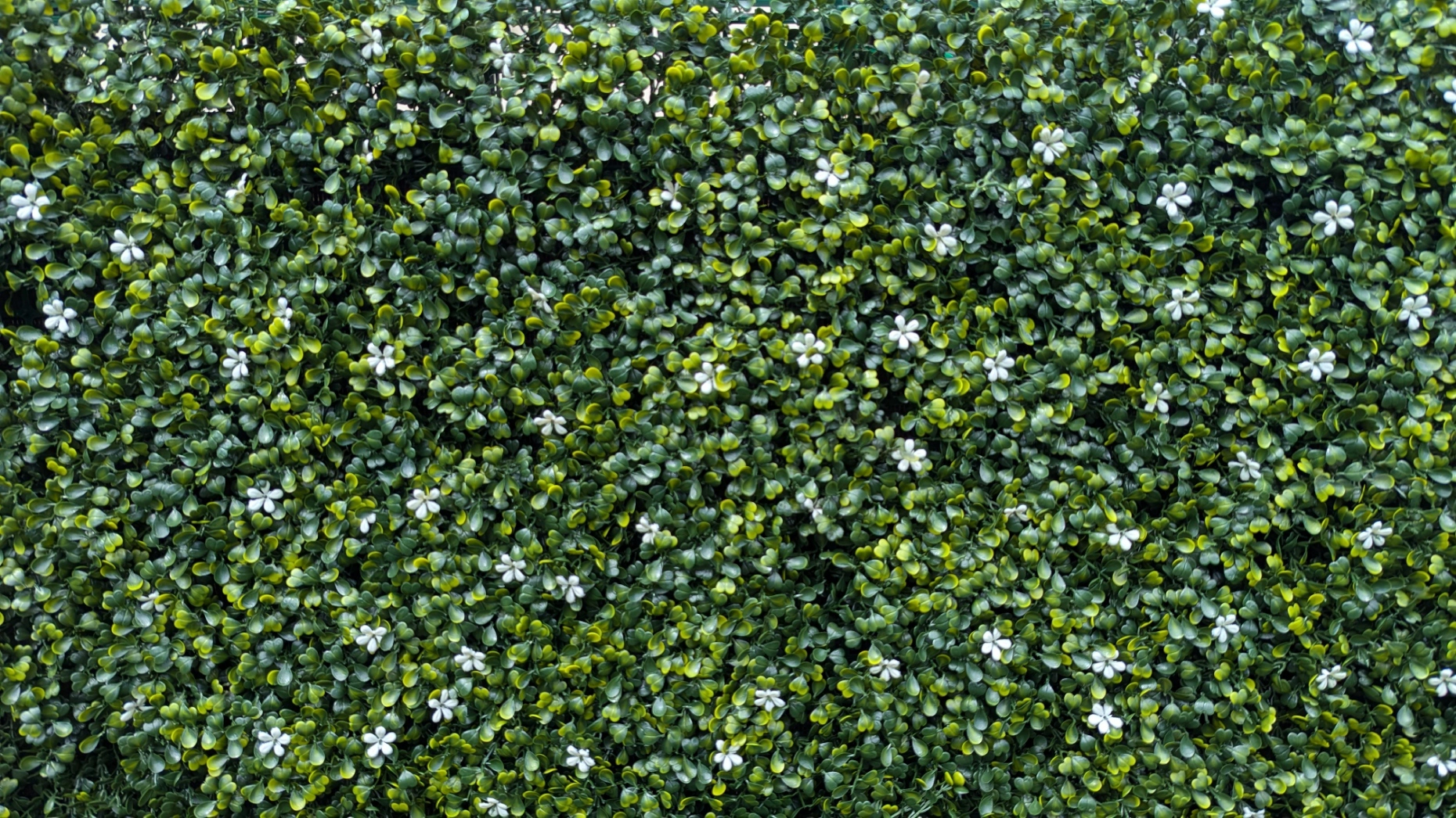 Jasmine style artificial green wall