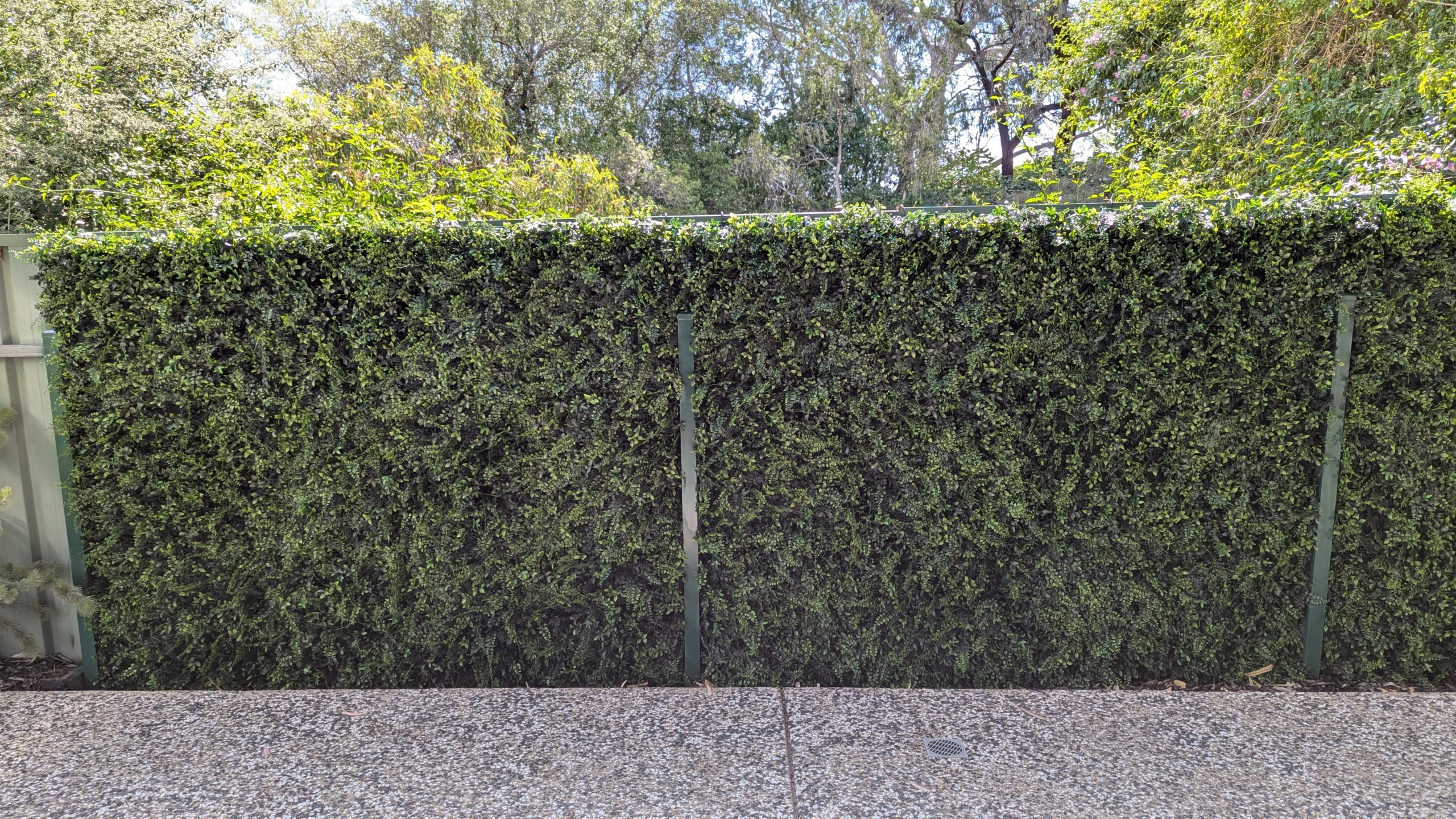 Artificial green wall attached to a boundary fence